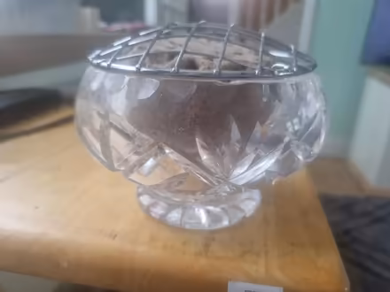 Photo of free Glass Plant Display Pot (ME12) #2