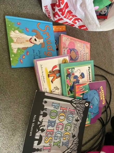 Photo of free Kids toys, books and puzzles (Blacklands TN34) #2