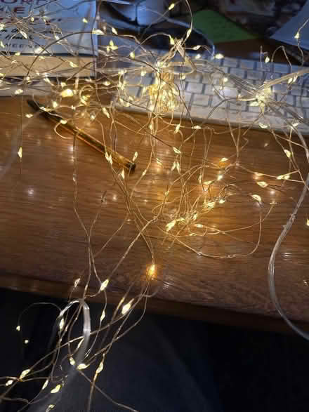 Photo of free Fairy light ‘curtain’ (Eaton NR4) #1
