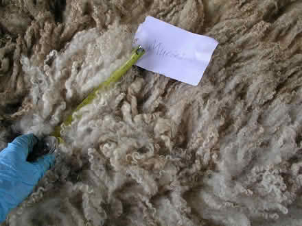 Photo of Spinning wheel for Chunky Yarn (Much Cowarne HR7) #1