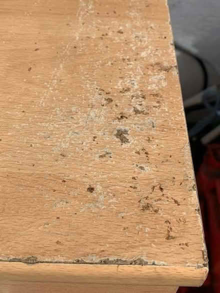 Photo of free small chest of drawers (Shobdon HR6) #1
