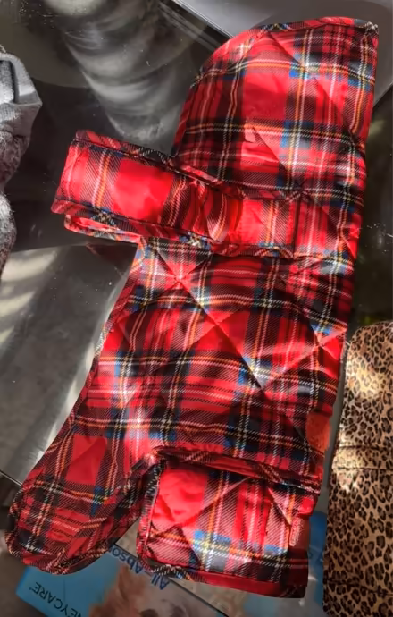 Photo of free Plaid dog jacket (Bowie) #1