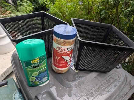 Photo of free Fish pond items (Seven Sisters N15) #1