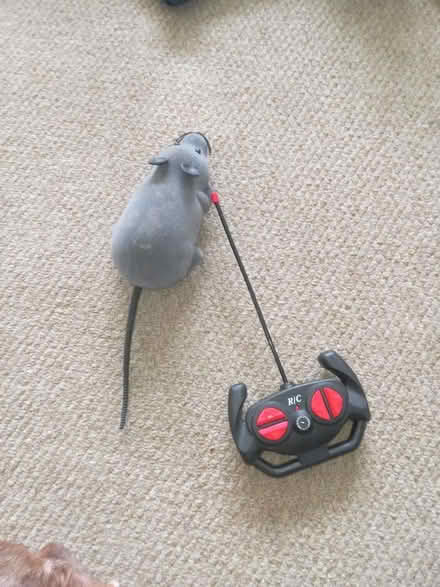 Photo of free Remote control rat (Smalley DE7) #1