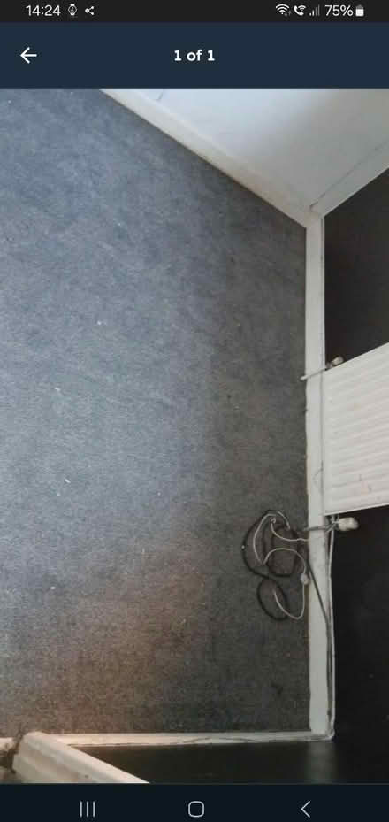 Photo of free New carpet (Canford Heath, BH17 8) #1