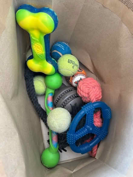 Photo of free Dog toys (Portage park 60641) #1