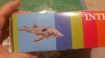 Photo of free swimming dolphin (Parson cross S5) #1