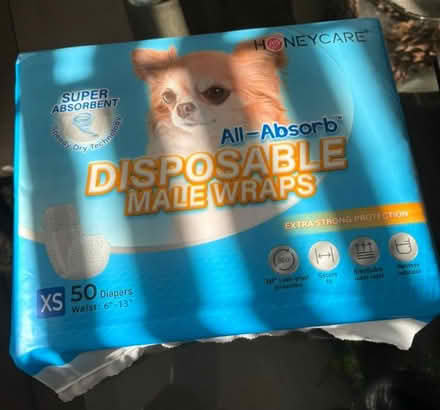 Photo of free Disposable belly bands (Bowie) #1