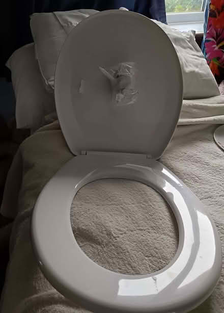 Photo of free toilet seat (The Rock TF3) #2
