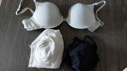 Photo of free 3 bras (St Albans Jersey Farm AL4) #1