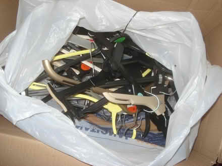 Photo of free Plastic hangers (Barming ME16) #1