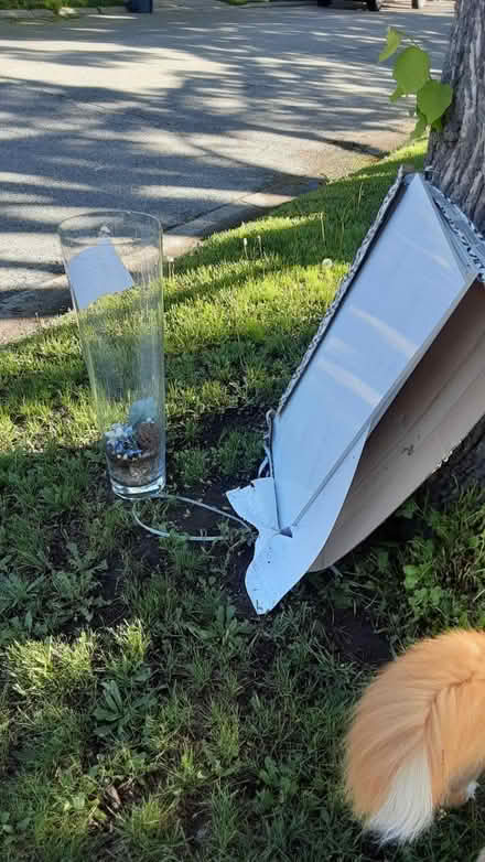 Photo of free Curb alert: Large white tiles (Southdown and Truscott) #1
