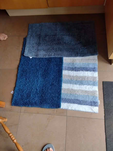 Photo of free bath mats (Lye Valley OX4) #1