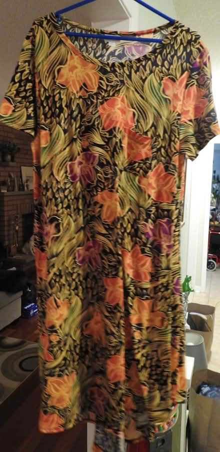 Photo of free Fall Coloured Dress (Mavis and Rathburn) #1