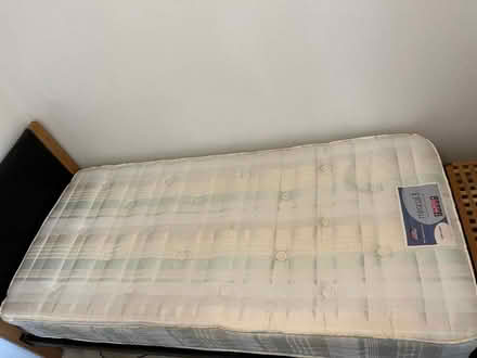 Photo of free Single bed (Twyford RG10) #1