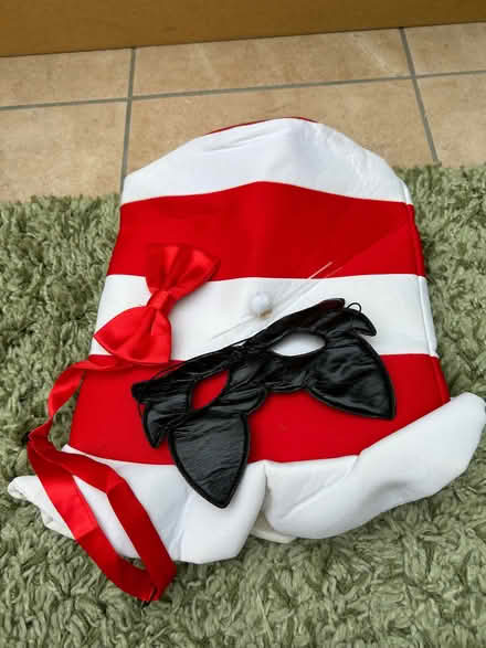 Photo of free Fancy dress (Haydon TA1) #3