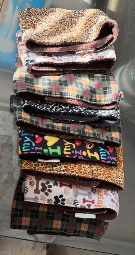 Photo of free Washable belly bands (Bowie) #1