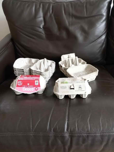 Photo of free 13 Egg Boxes (Dore S17) #1