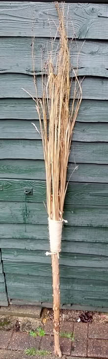 Photo of free Witch's besom (Netherton) #1