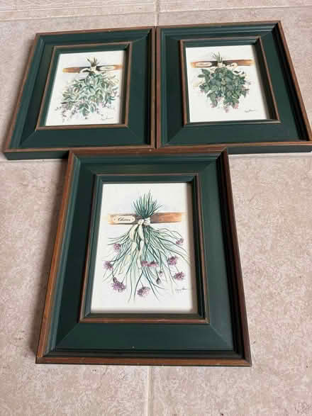 Photo of free 3 Framed pictures of herbs (Swarthmore) #1