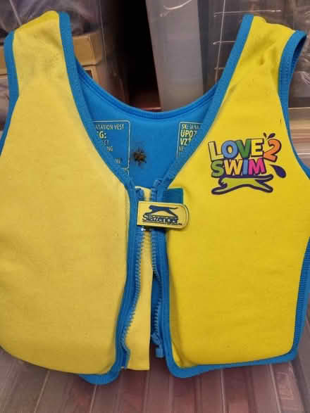 Photo of free Child's swimming vest (Salph End MK41) #1