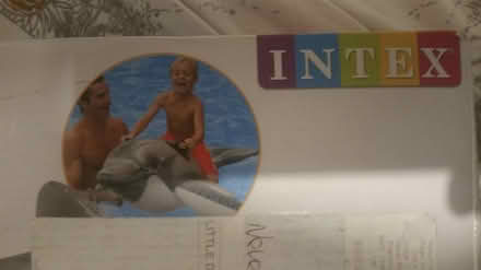 Photo of free swimming dolphin (Parson cross S5) #2
