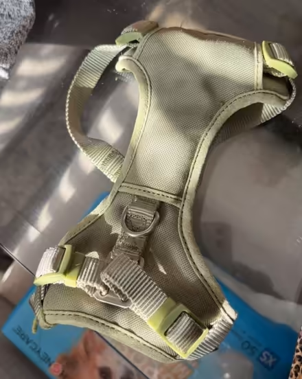 Photo of free Small dog harness (Bowie) #1