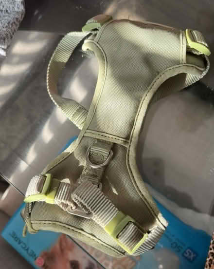 Photo of free Small dog harness (Bowie) #1