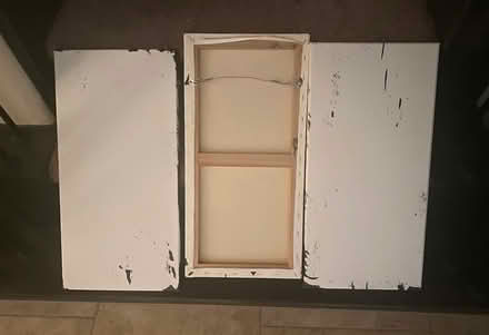 Photo of free Canvas (Katy) #1
