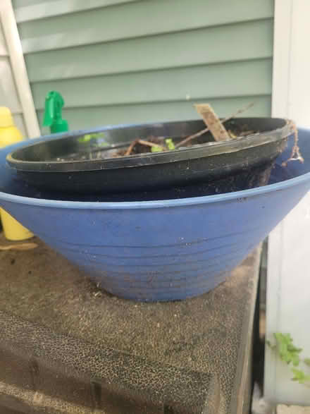 Photo of free Pots/planters (Montclair) #1