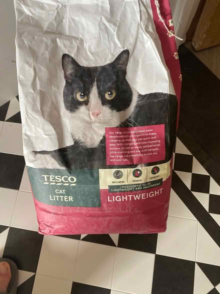 Photo of free Cat litter (Desborough Island TW17) #1