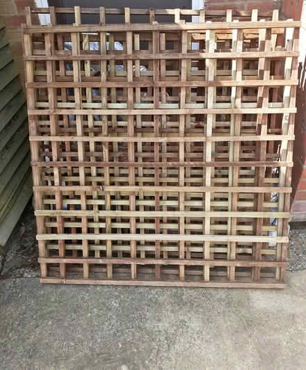 Photo of 6 x 6 and 2 x 6 trellis (Braintree) #1