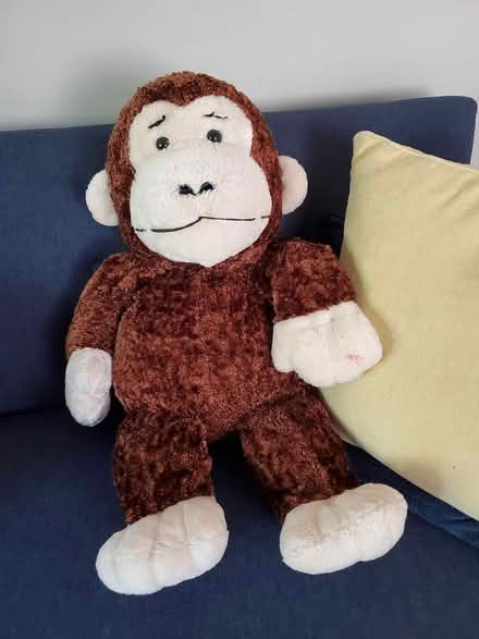 Photo of free Freshly Laundered Stuffies (Oakland) #3