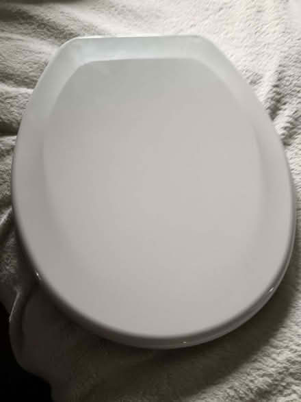 Photo of free toilet seat (The Rock TF3) #3