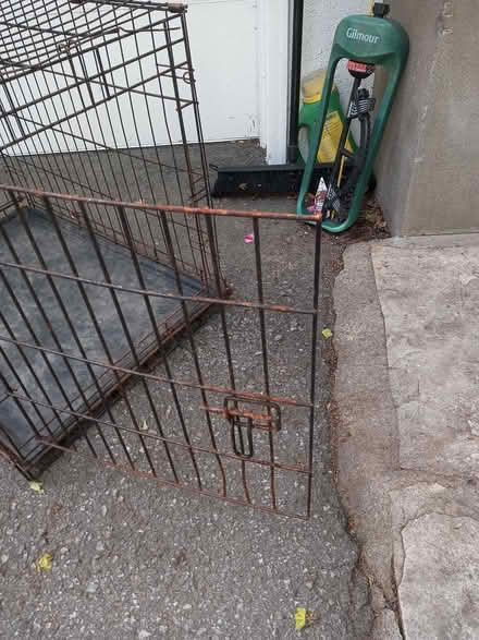 Photo of free Wire pet crate - folding (Manor Park - Rockcliffe Park) #3
