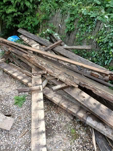 Photo of free Wood (Sutton Park DY11) #1