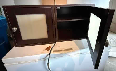 Photo of free Small Cabinet (Near Leroy & Petts Rds) #1