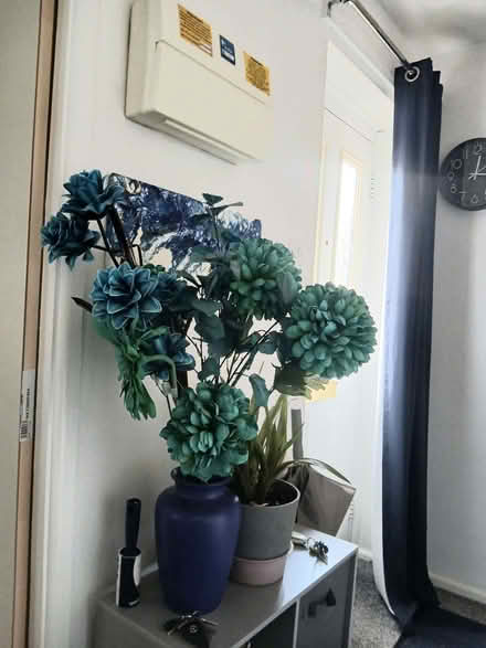 Photo of free Dry flowers (Monkmoor SY2) #1