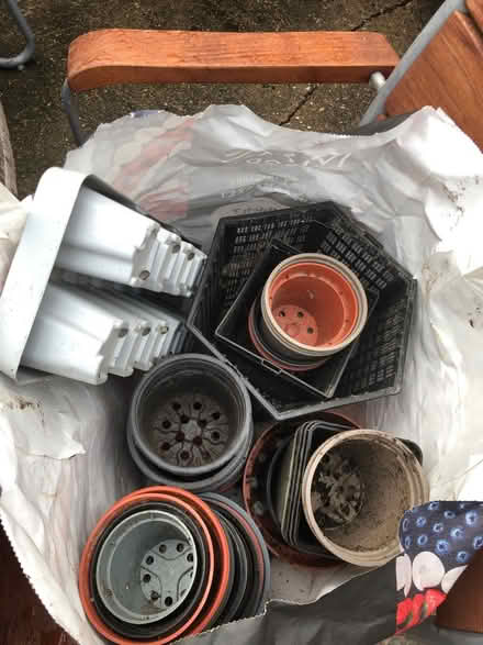 Photo of free Plastic pots (NR2) #1