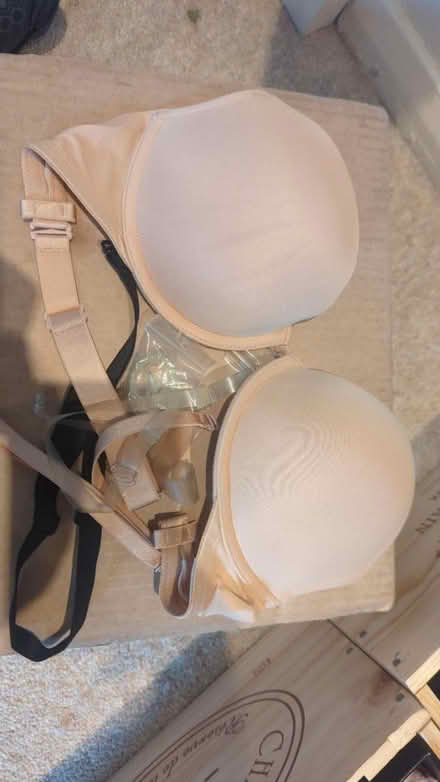 Photo of free Strapless bra (Sydenham SE26) #1