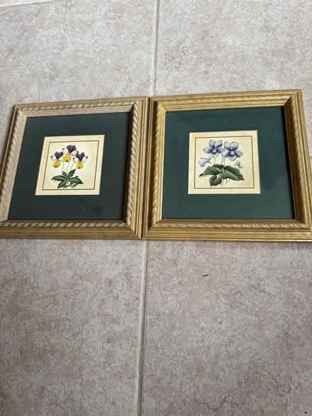 Photo of free 2 framed pictures of violets (Swarthmore) #1