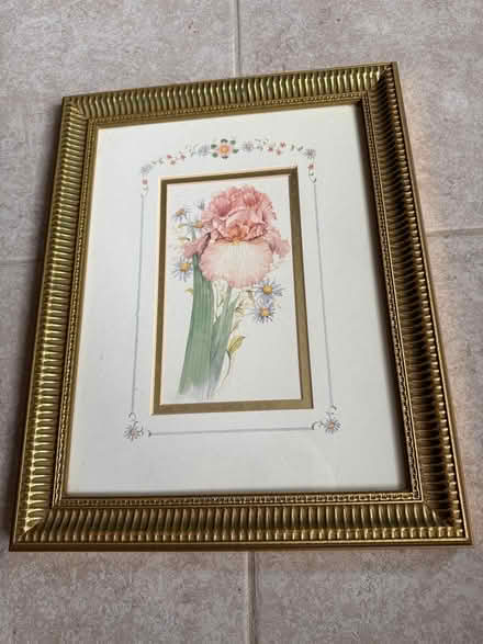 Photo of free Framed picture of irises (Swarthmore) #1
