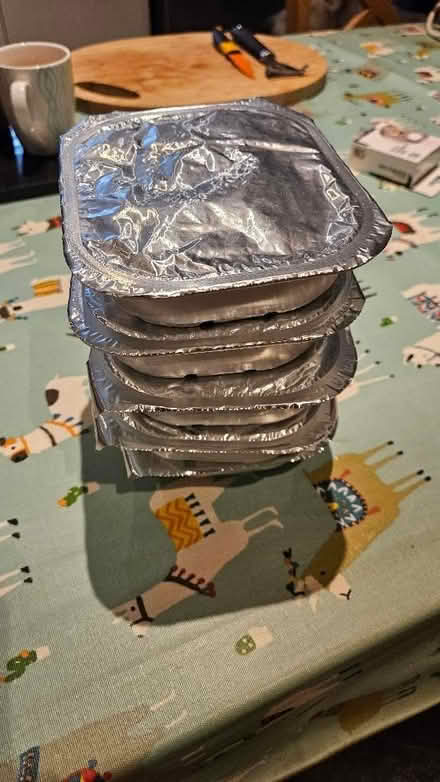 Photo of free 5 x Duck Naturo Dog Food (Twerton) #1
