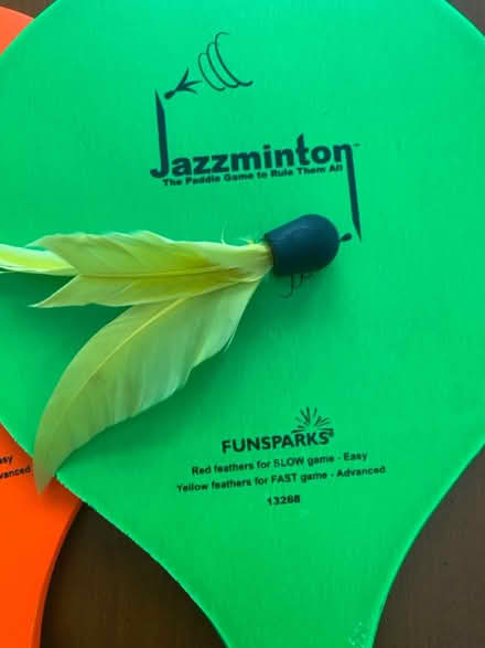 Photo of free Jazzminton set (Nr Fresh Pond & Mt Auburn Cem.) #2