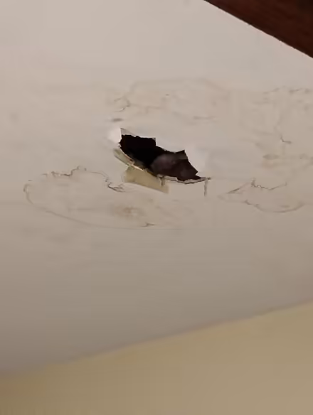 Photo of Roof Leak Sheetrock, compound, Tape (Philadelphia) #1