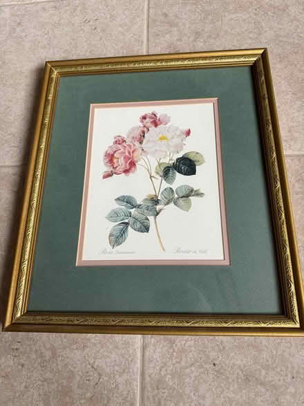 Photo of free Framed picture of roses (Swarthmore) #1
