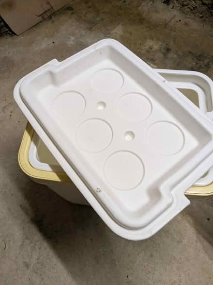 Photo of free Cooler box (Tetbury GL8) #4