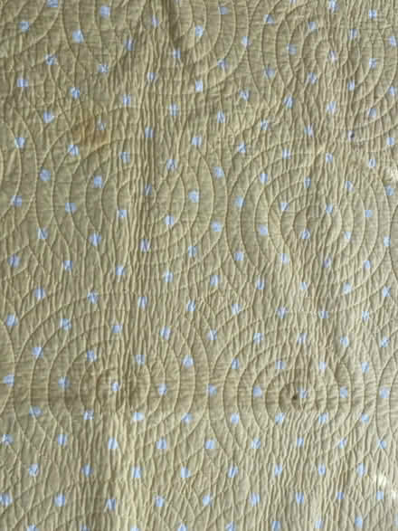 Photo of free Twin bed spread (Nr Fresh Pond & Mt Auburn Cem.) #4