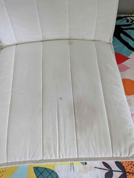 Photo of free Dirty cushion for IKEA chair (Hyattsville) #1