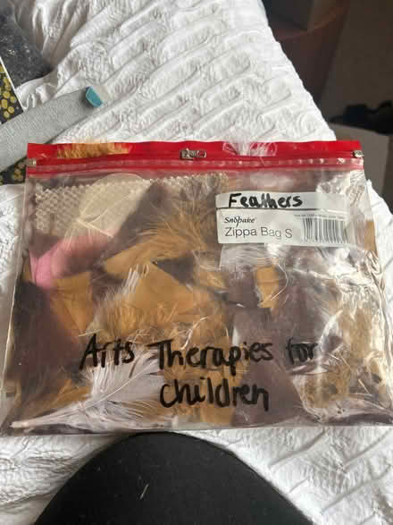 Photo of free Small bag of feathers (Park street st albans) #1